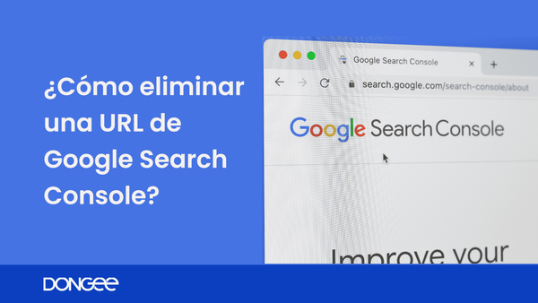 eliminar url google search console