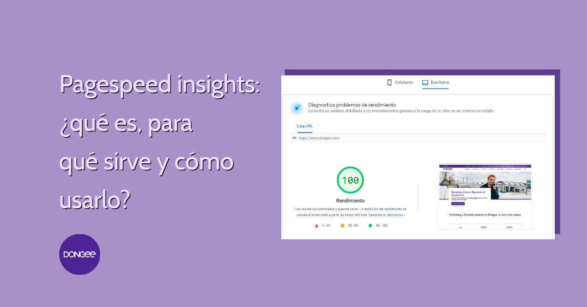 Pagespeed insights