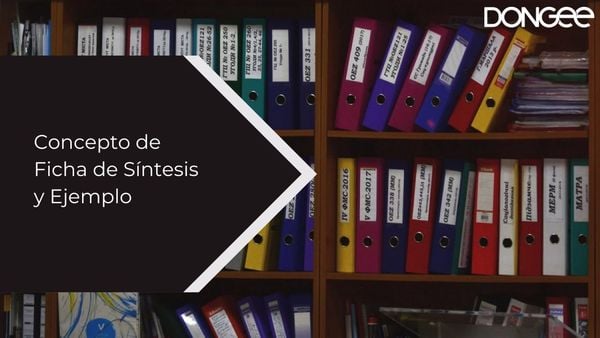 Concepto de Ficha de Síntesis y Ejemplo